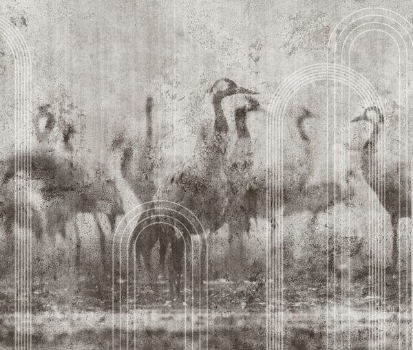 Fototapeta Żurawie na Betonie