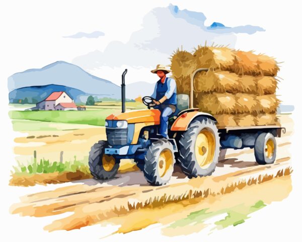 Fototapeta Słomiany Szlak