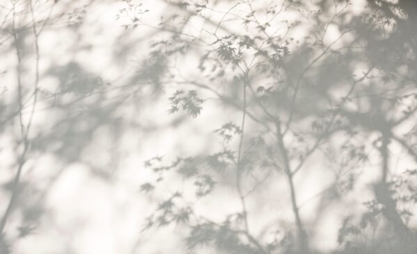 Fototapeta Cisza w cieniu