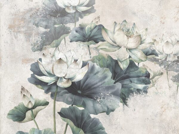 Fototapeta Lilie Wodne