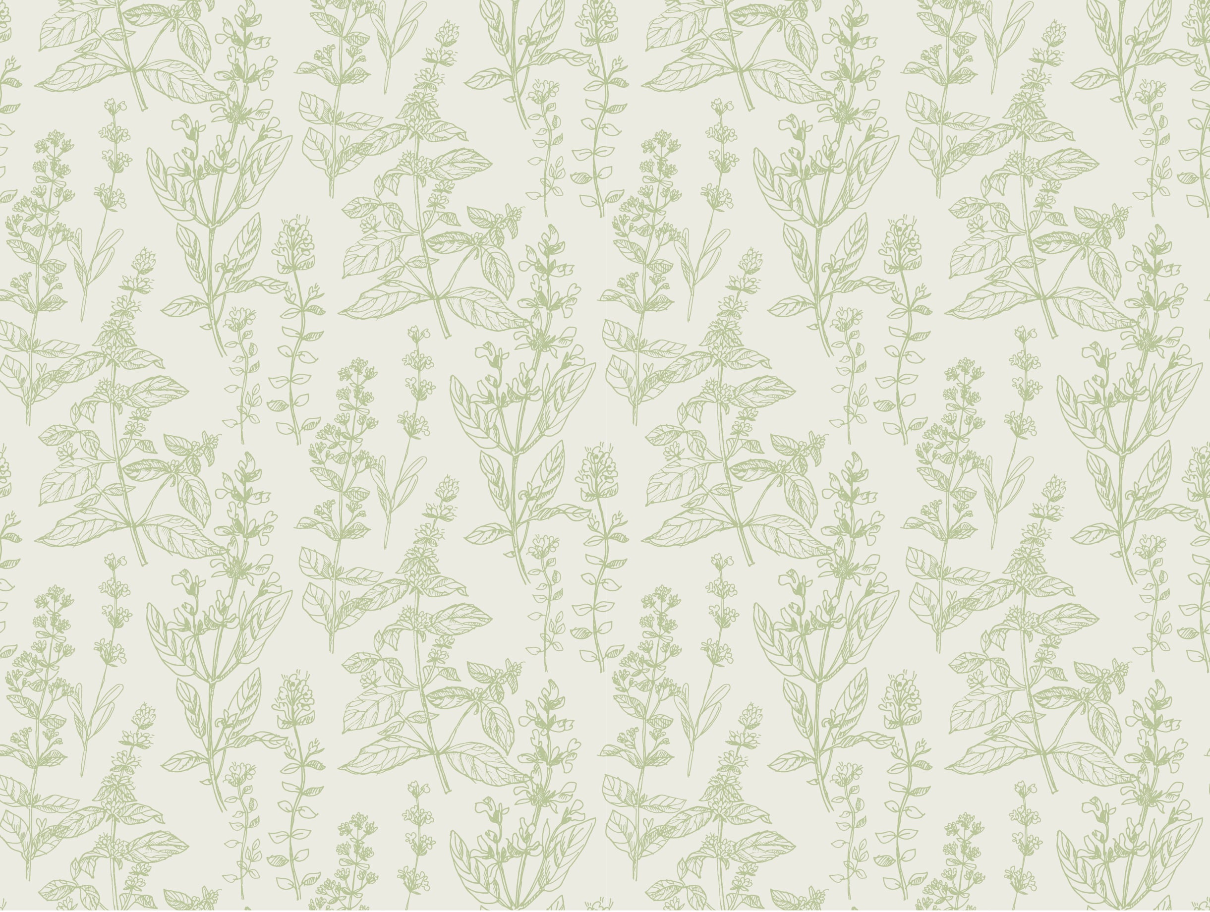 AdobeStock_216129865-01 Fototapeta Zielona Harmonia