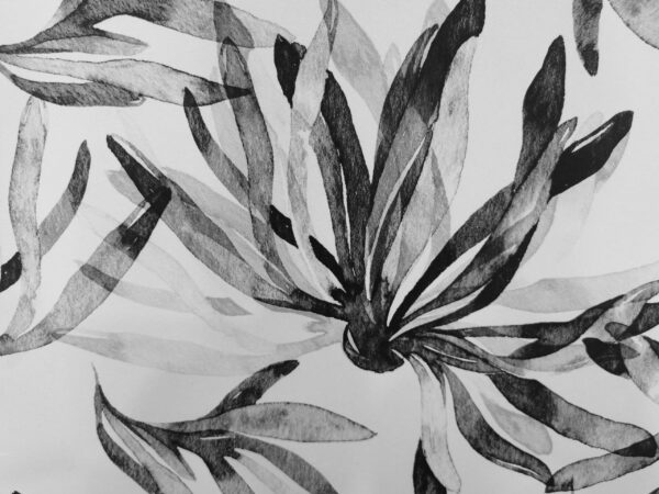 Fototapeta Delikatne Sploty