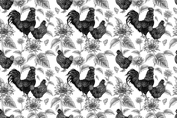 Fototapeta Kurza Łąka