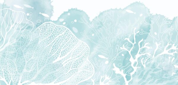 Fototapeta Morska Mgła