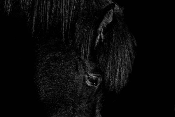 Fototapeta Cisza Nocy