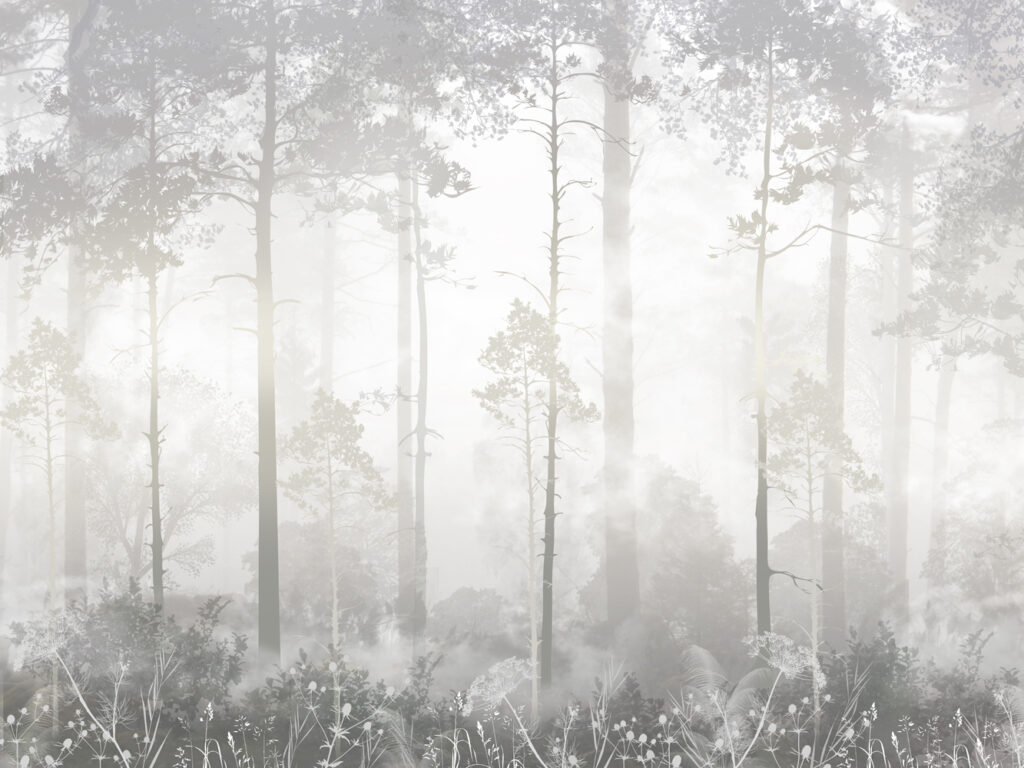 misty forest in the fog wallpaper black and white