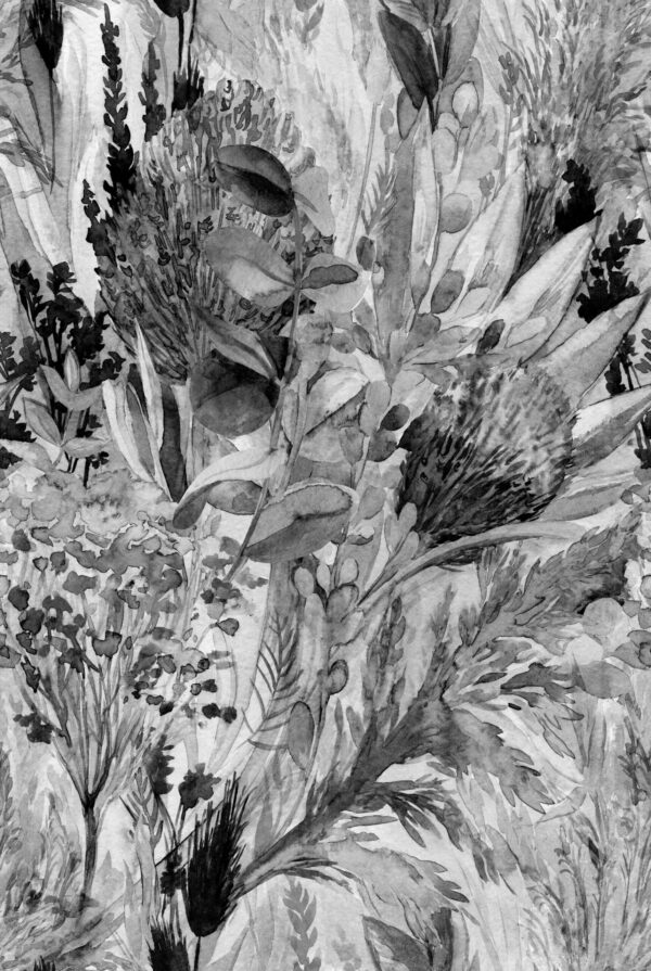 Fototapeta Cienie Natury