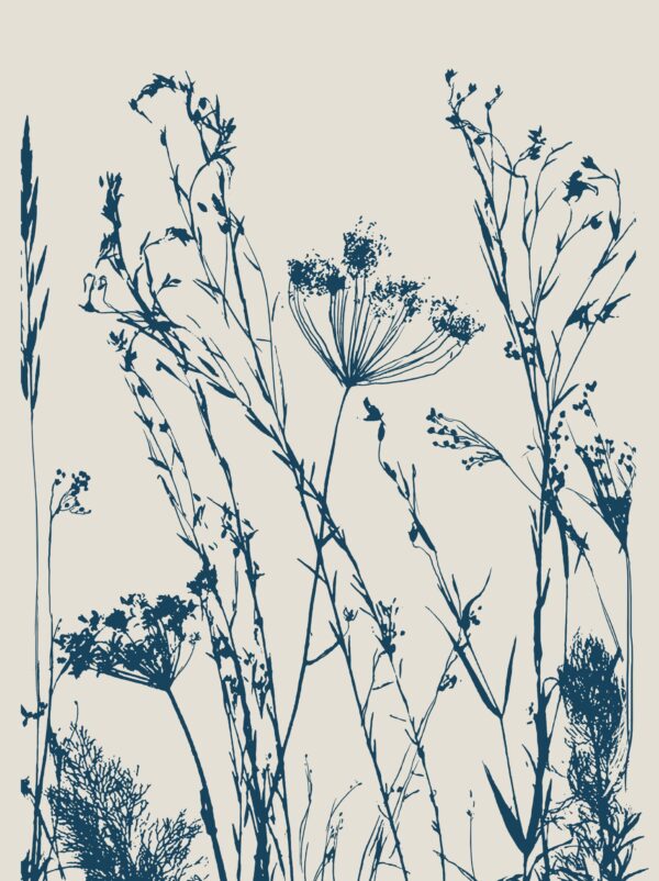 Fototapeta Tajemnicze Łąkowe Szkice