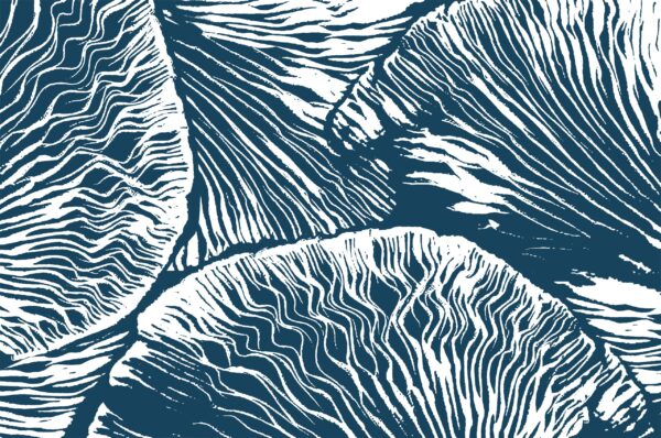 Fototapeta Płynące Blaszki