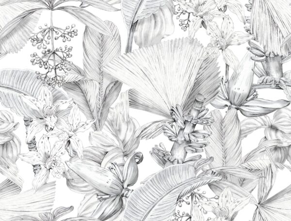 Fototapeta Botaniczna Elegancja