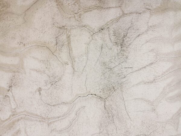 Fototapeta Ślady Żywiołów