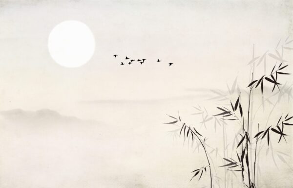 Fototapeta Bambusowy Spokój