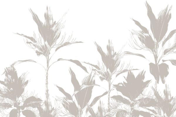 Fototapeta Echa Roślin