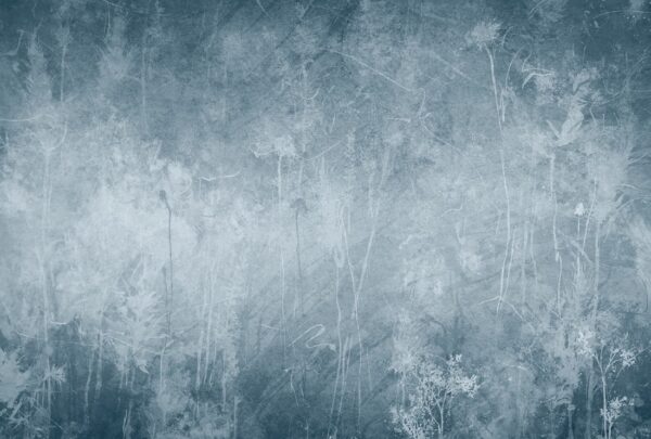 Fototapeta Cichy Zmierzch