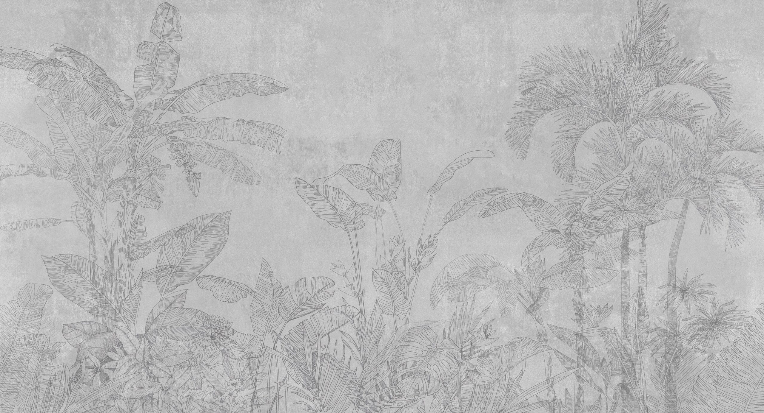 shutterstock_2395090889-scaled-1 Fototapeta Zarys Tropików