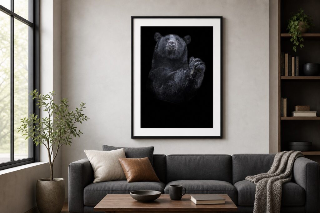 Plakat Niedźwiedzia Czarnego